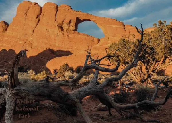 Arches National Park Skyline Arch Premium Quality 1000 Piece Jigsaw Puzzle