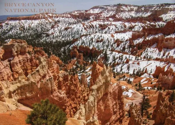 Bryce Canyon National Park Bryce Point Premium Quality 1000 Piece Puzzle