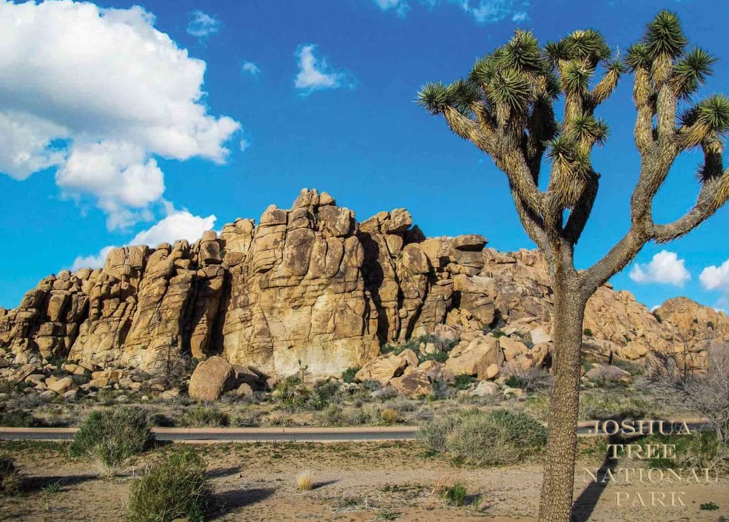 7 Things You Need to Know About Joshua Tree National Park 29 Puz web