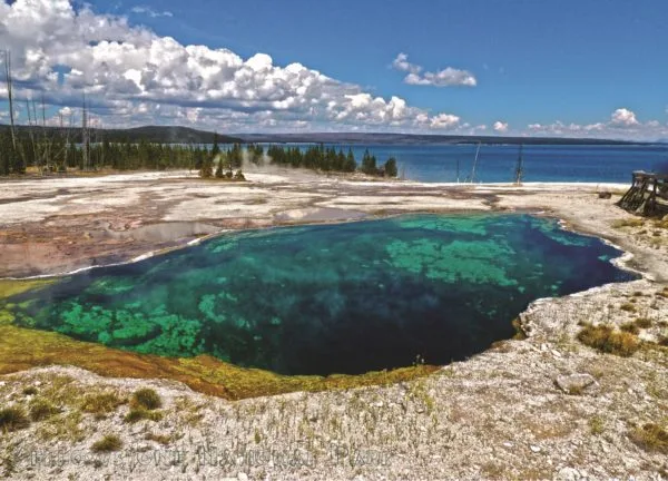 Yellowstone National Park Abyss Pool Premium Quality 1000 Piece Puzzle