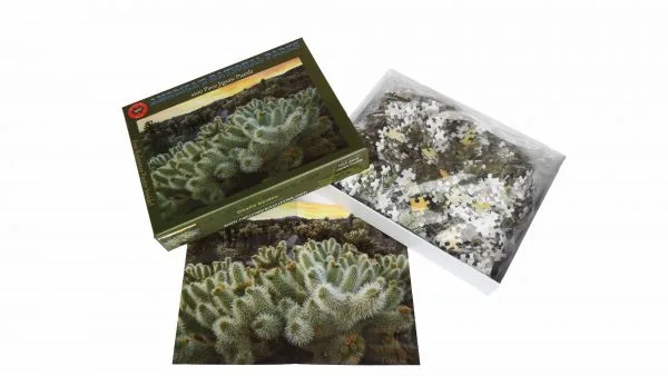 Joshua Tree National Park Cholla Cactus Garden 1000 Puzzle For Adults - Image 4