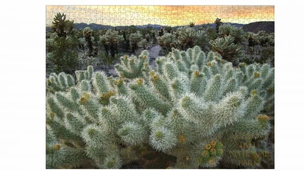 Joshua Tree National Park Cholla Cactus Garden 1000 Puzzle For Adults - Image 5