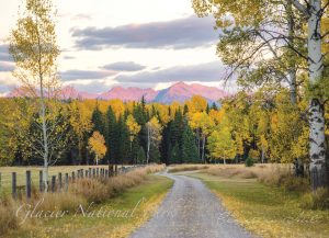 Glacier National Park North Fork Road, the less traveled route to the Northwestern corner of the park. Bowman and Kintla Lakes are found there, as well as the world famous Polebridge Mercantile, and their Huckleberry Bear Claws.