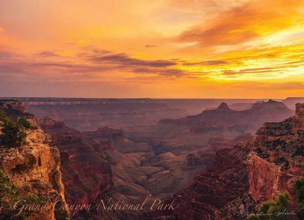 Grand Canyon National Park Cape Royal 1000 Piece Jigsaw Puzzle