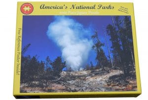 Coming Soon 21071 webcover