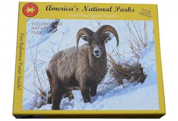 Yellowstone National Park Hungry Bighorn 1000 Piece Puzzle - Image 3