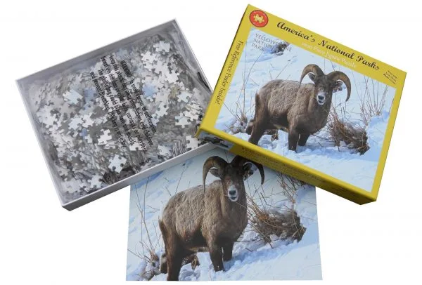 Yellowstone National Park Hungry Bighorn 1000 Piece Puzzle - Image 5