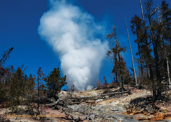 Steamboat geyser eruption