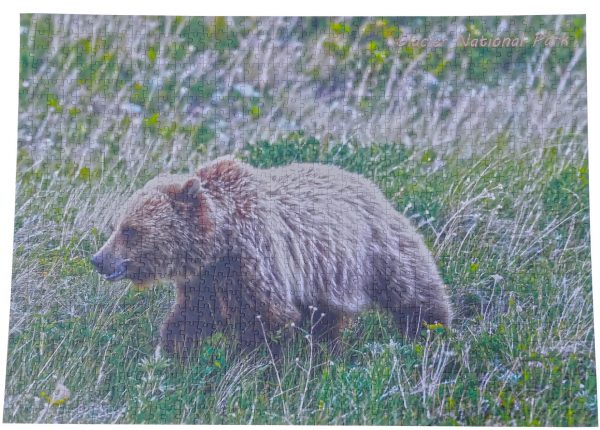 Foraging Grizzly completed puzzle