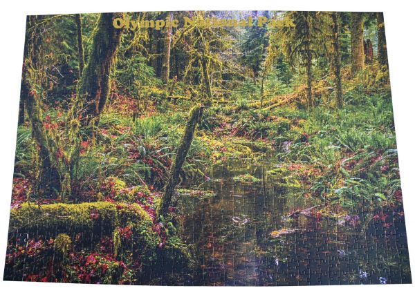 Hoh Rainforest Creek completed puzzle
