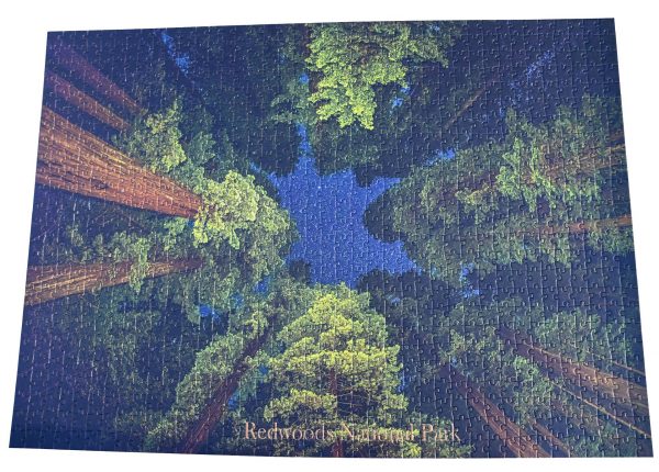 Starry Sky in the Redwoods completed puzzle