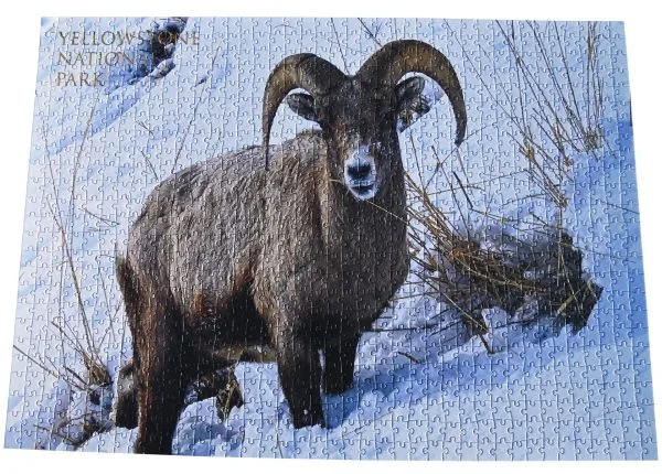 Hungry Bighorn completed puzzle