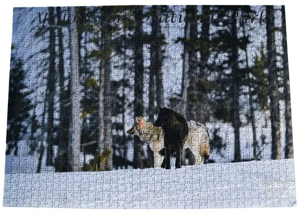 Junction Butte Pack Wolves completed puzzle