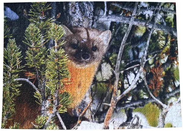 Pine Marten completed puzzle