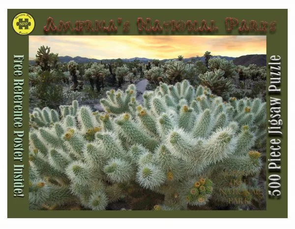 Cholla Garden 500 piece