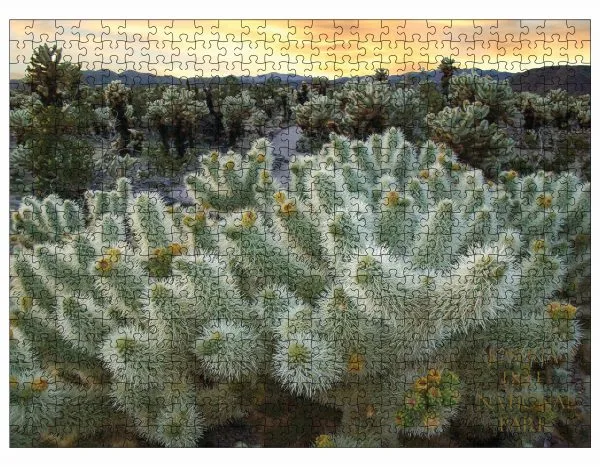 Joshua Tree National Park Cholla Garden 500 Piece Puzzle - Image 3